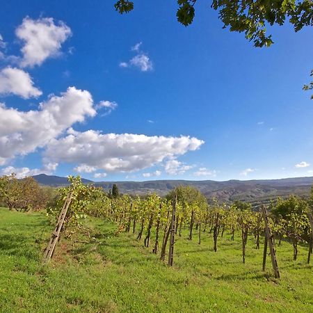 Agriturismo Corvaia Radicofani Exteriör bild