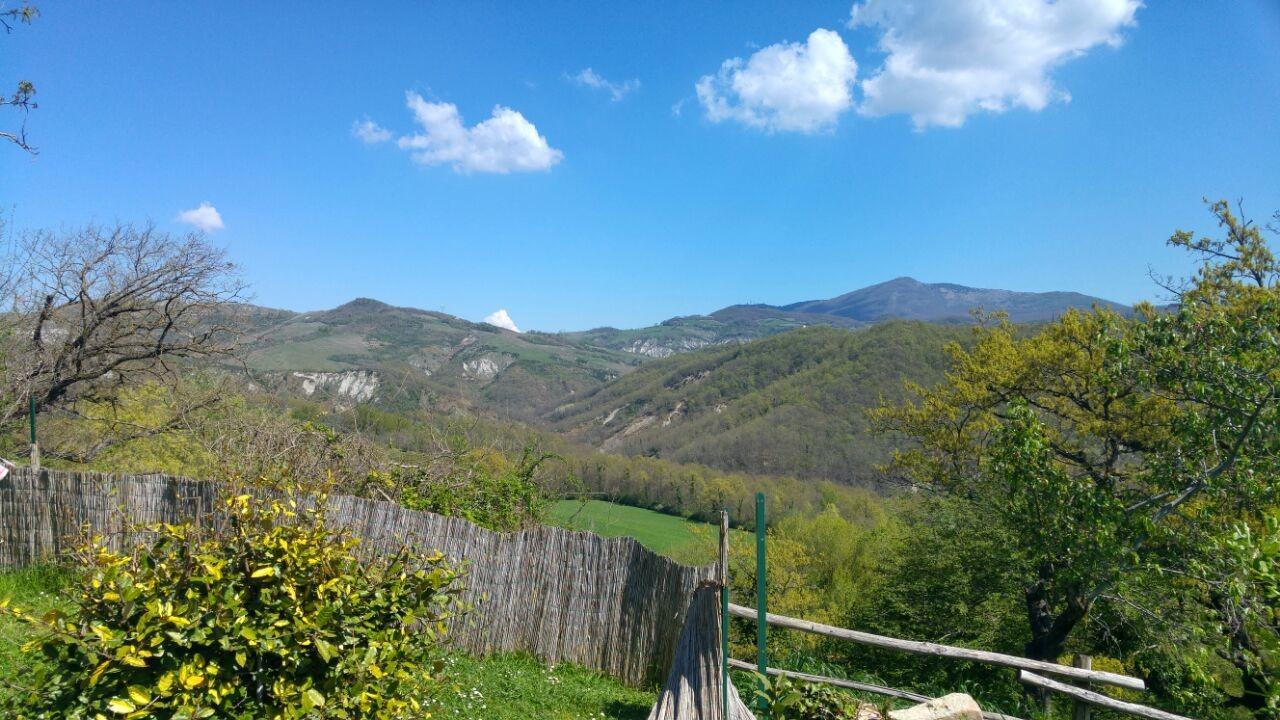 Agriturismo Corvaia Radicofani Exteriör bild